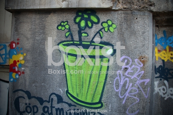 Flower Plant Graffiti