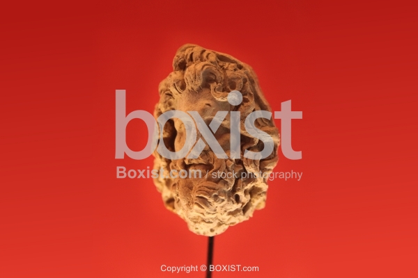 Head of Jupiter Small Statue