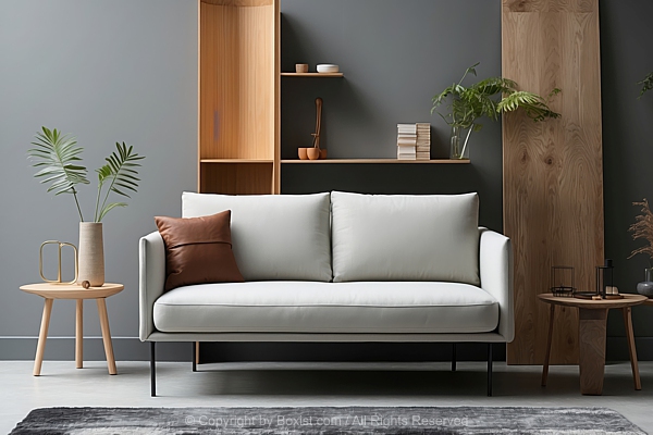 Modern Couch Sofa With Inside Living Room