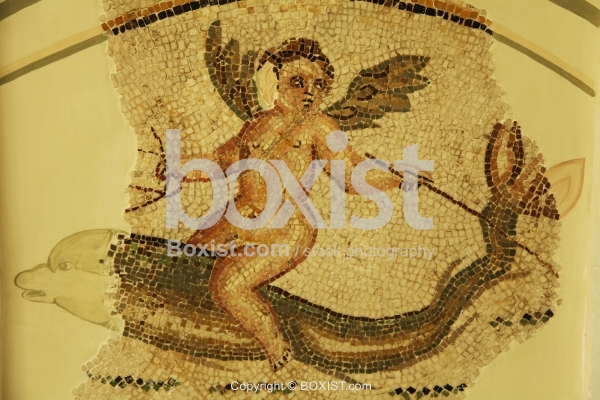 Winged Cupid Fishing On Dolphin Mosaic Fragment