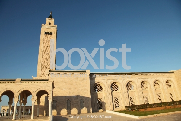 View of Malik Ibn Anas Mosque in Tunisia
