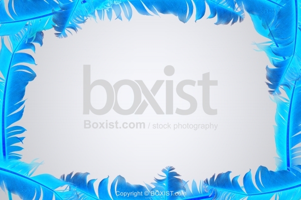 Blue Feathers Frame