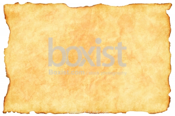 Burnt Grunge Paper Texture