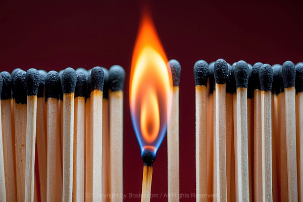 Lit Match With Unlit Matches