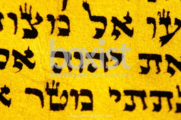 Jehovah Hebrew Text Closeup Letters From Torah Bible