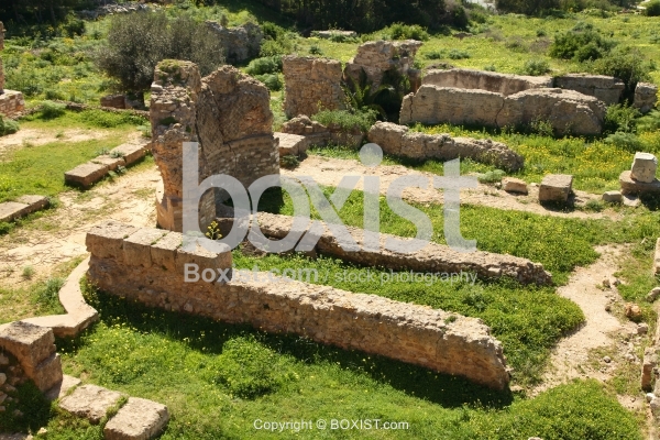 Punic Remains In Carthage