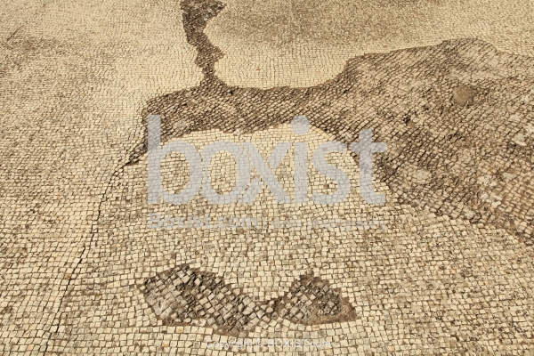 Remains Of Old White Erased Mosaic