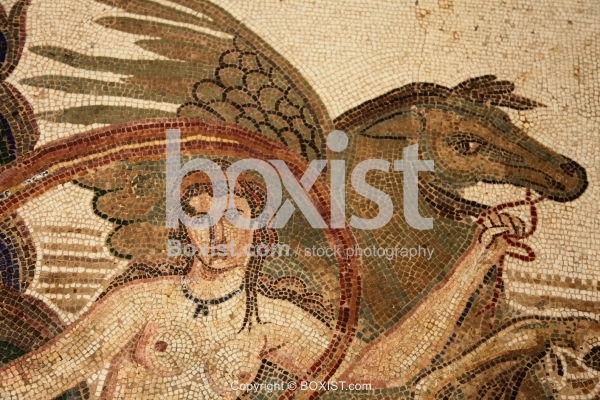 Woman With Winged Horse Roman Mosaic