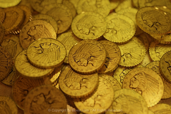 Golden US Coins With Native American Head