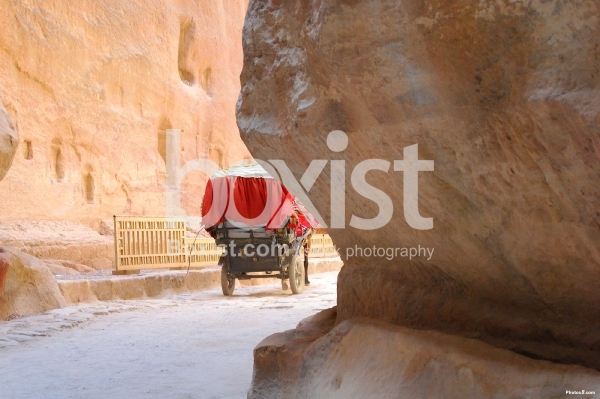 Horse Wagon through Siq Path