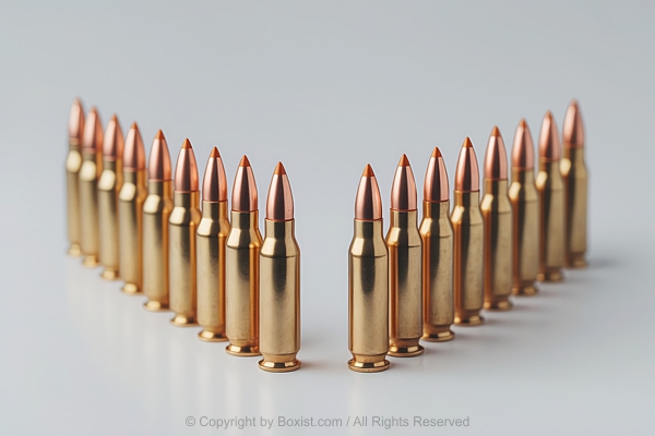 Shiny Bullets Ammunition Arranged
