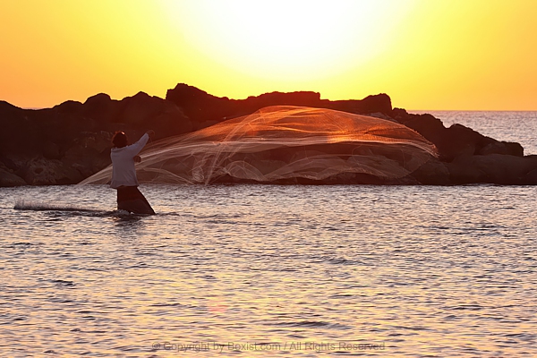 Fisherman Throwing Fishing Net In The Sea At Sunset